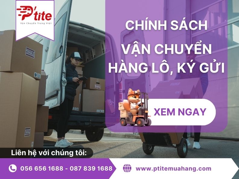 Chính sách và quy chế vận chuyển hàng lô, ký gửi