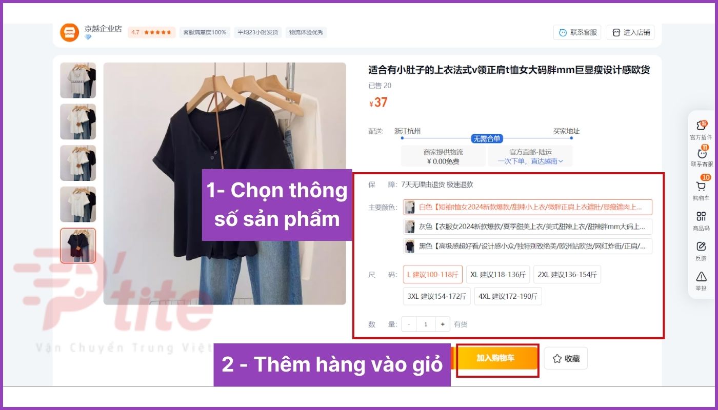 Chọn thuộc tính sản phẩm và thêm hàng vào giỏ