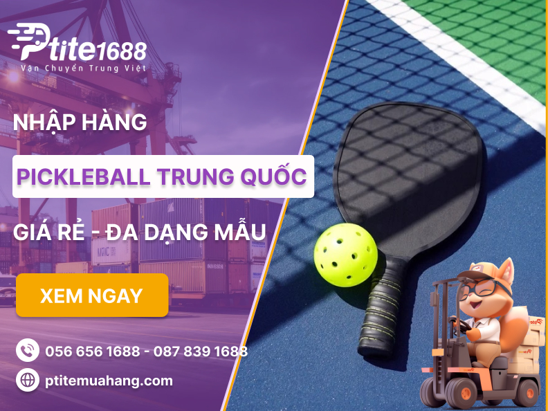 Nhập hàng Pickleball về Việt Nam