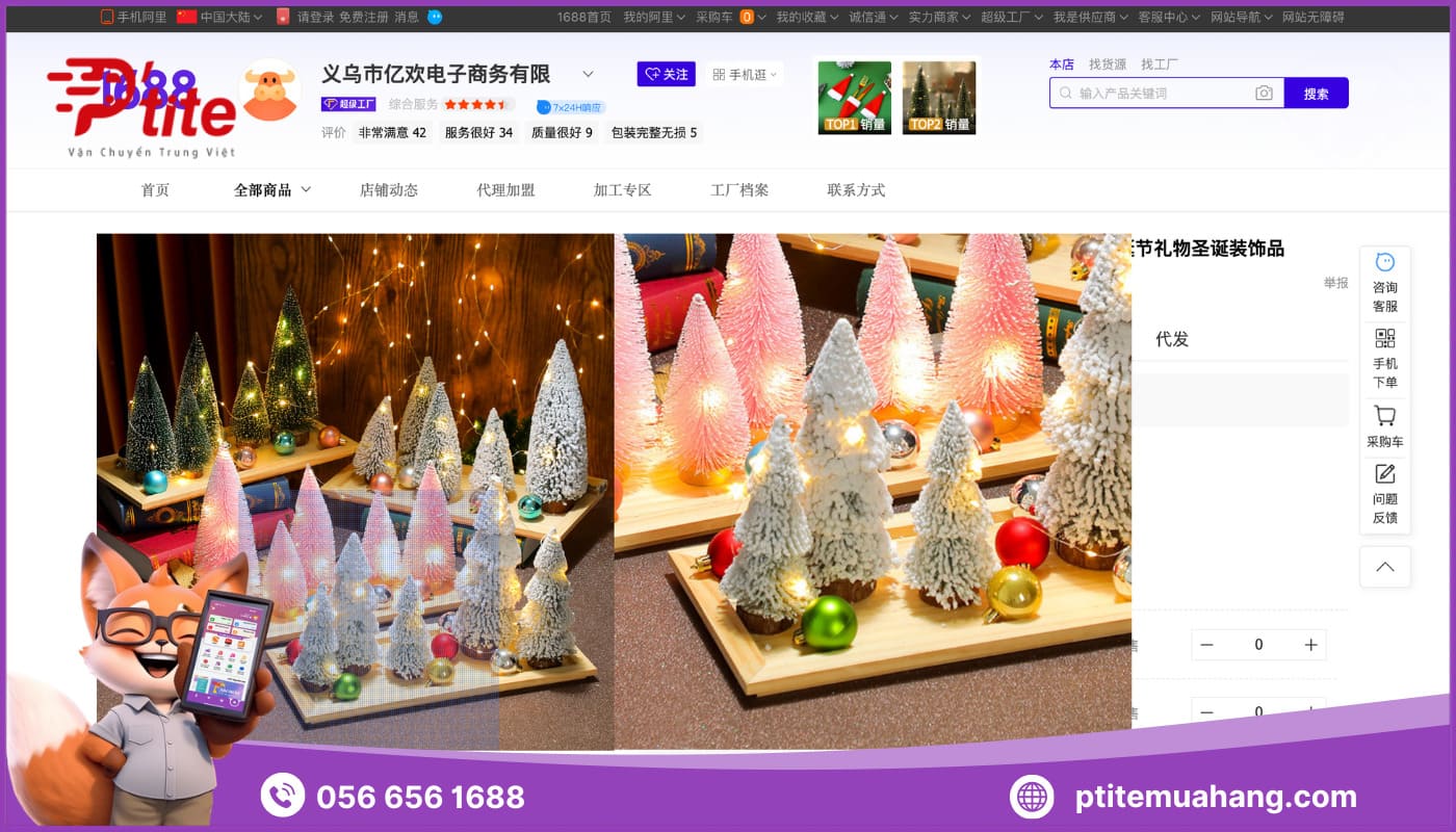 Order nguồn hàng cây thông Noel Trung Quốc từ sàn TMĐT